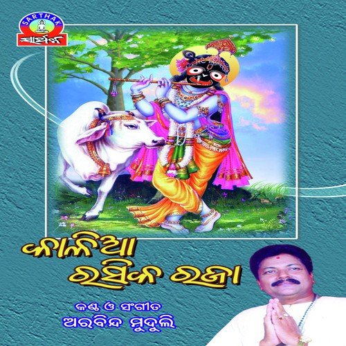 Aalo Radha Bege Gadha by Arabinda Muduli - Download on PagalFree