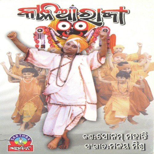 Nai Pani Nai Ku ja by Sonam Mohanty - Download on PagalFree