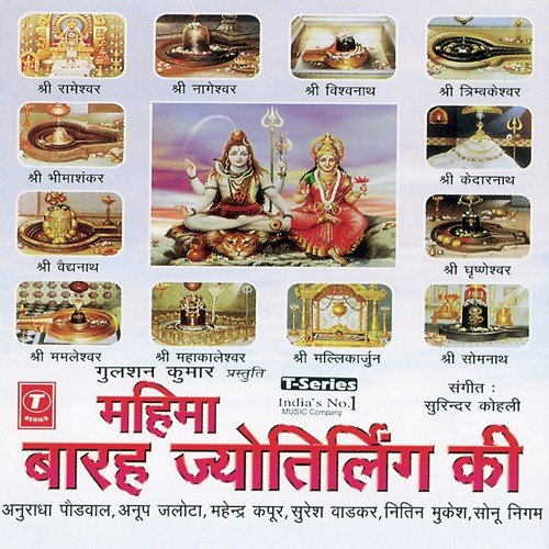 Jai Jai Vaidhyanath Bhagwan by Surender Kohli - Download on PagalFree