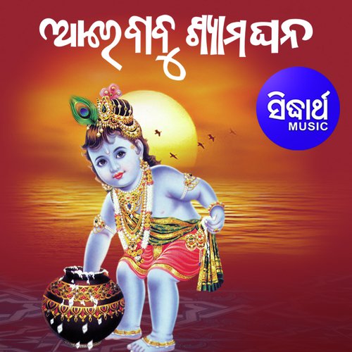 He Banagiri by Shyamamani Pattnaik - Download on PagalFree