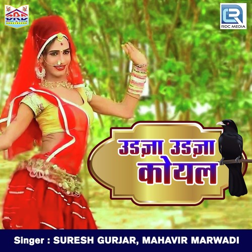 Udja Udja Koyal by Suresh Gurjar, Mahavir Marwadi - Download on PagalFree