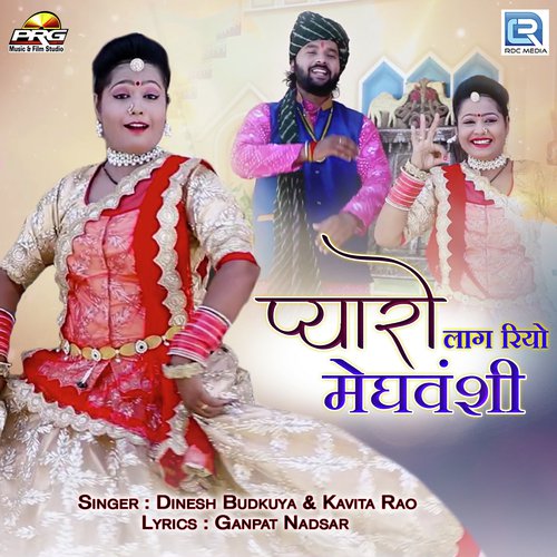 Pyaro Lag Riyo Meghwanshi by Suresh Gurjar, Mahavir Marwadi - Download on PagalFree