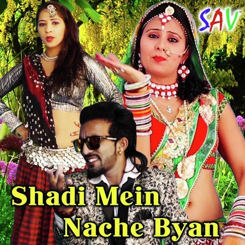 Koyaldi Pyari Ghani by Mewadi Brothers - Download on PagalFree