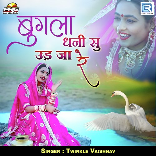 Bugla Dhani Su Ud Ja Re by Raju Mewadi, Twinkal Vaishnav - Download on PagalFree