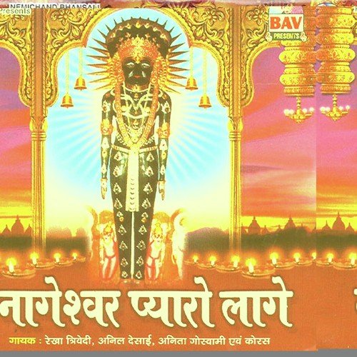 Bhakti Bina Hai Jeevan Me Soona by Anil Desai, Anita Goswami - Download on PagalFree