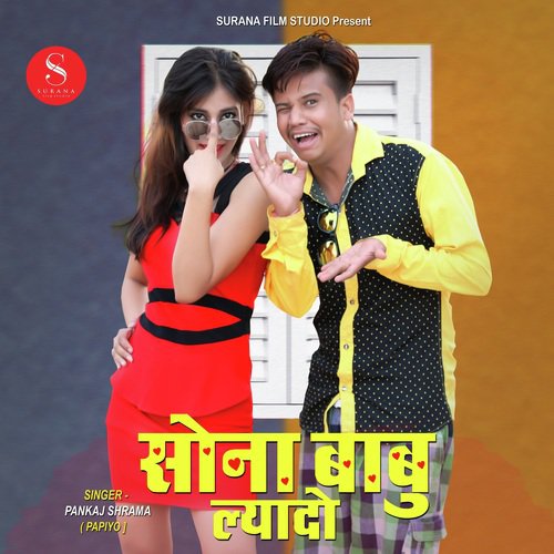 Mare Sona Babu Laido by Pankaj Sharma - Download on PagalFree