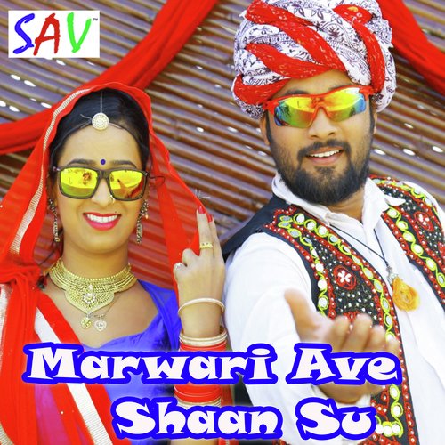 Marwari Ave Shaan Su by Devender Dewasi, Monika Vaishnav - Download on PagalFree