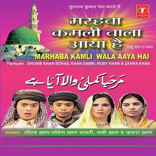 Allah Hu Allah Hu Allah Hu by Haji Tasleem Aarif - Download on PagalFree