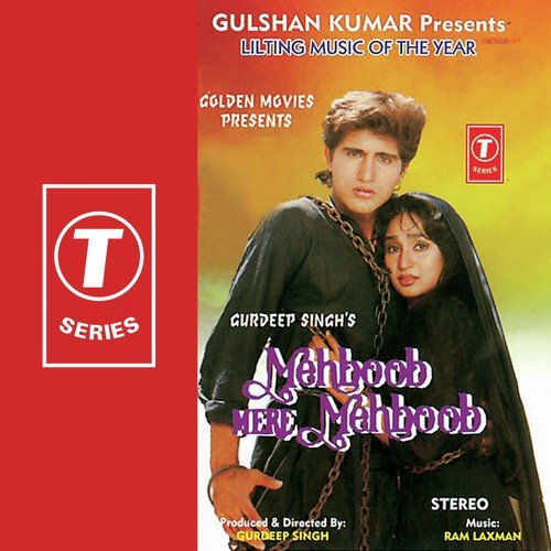 Tere Hum To Diwane Ho Gaye by Various Artists - Download on PagalFree