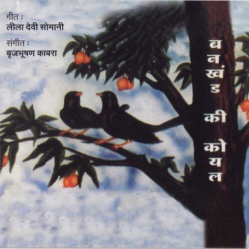 Aayo Re Hayli by Various Artists - Download on PagalFree