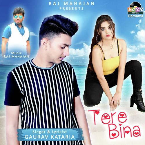 Tere Bina by Vinu Gaur - Download on PagalFree