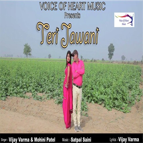 Teri Jawani by Vijay Varma, Mohini Patel - Download on PagalFree