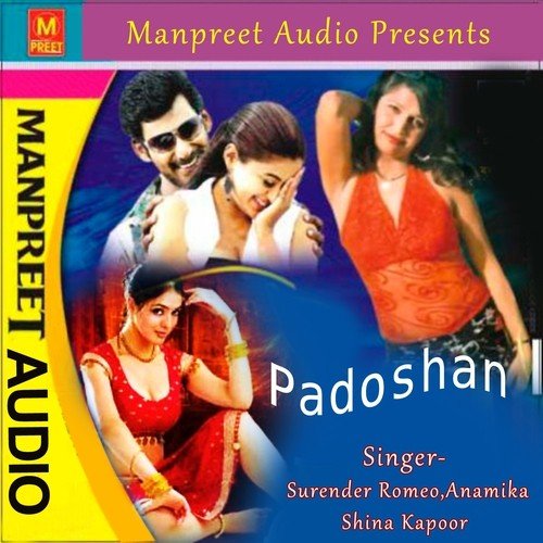 Kaun Se Kami Pyar Mein by Surender Romeo, Anamika, Shina Kapoor - Download on PagalFree