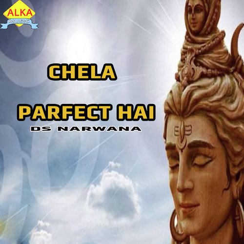 Chela Parfect Hai by D.S. Narwana - Download on PagalFree