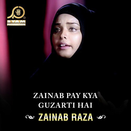 Zainab Pay Kya Guzarti Hai by Zainab Raza - Download on PagalFree