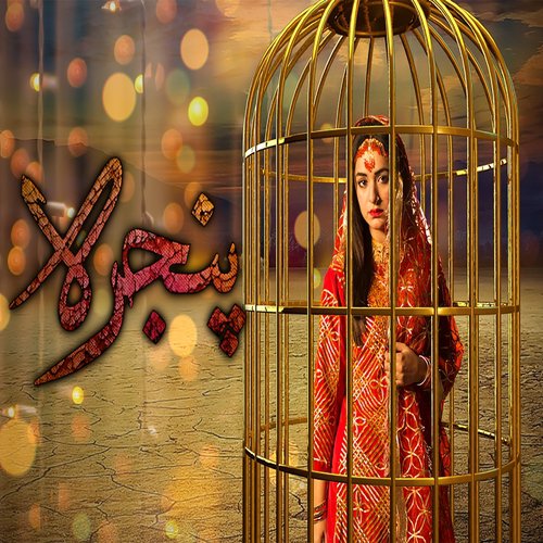 Pinjra by Rahat Fateh Ali Khan - Download on PagalFree