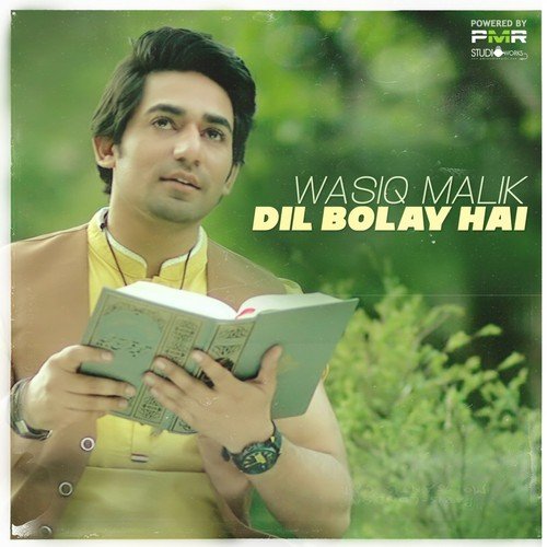 Dil Bolay Hai by Sahir Ali Bagga - Download on PagalFree