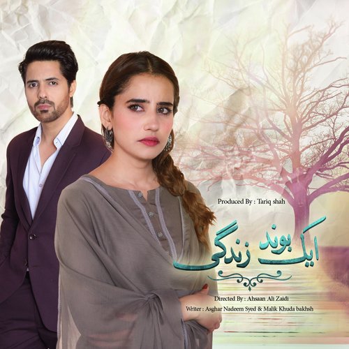Aik Bond Zindagi by Sahir Ali Bagga - Download on PagalFree