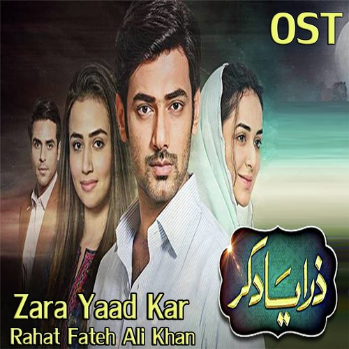 Zara Yaad Kar by Rahat Fateh Ali Khan - Download on PagalFree