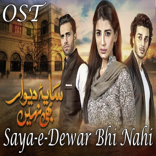 Saya E Dewar Bhi Nahi by Rahat Fateh Ali Khan - Download on PagalFree