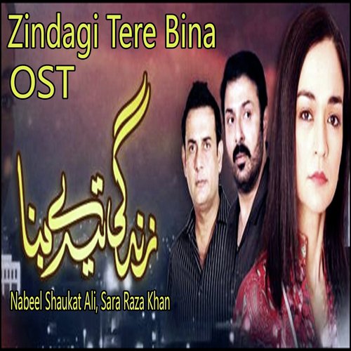 Zindagi Tere Bina by Nabeel Shaukat Ali, Sara Raza Khan - Download on PagalFree