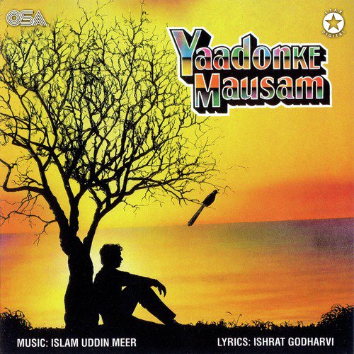Teri Yaadon Ke Mausam by Various Artists - Download on PagalFree