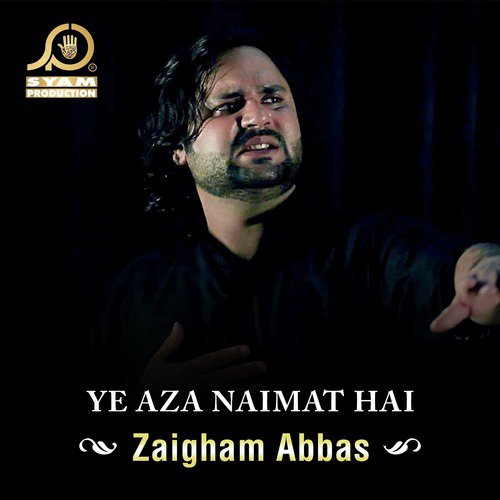 Abbas Bhirah by Zaigham Abbas - Download on PagalFree