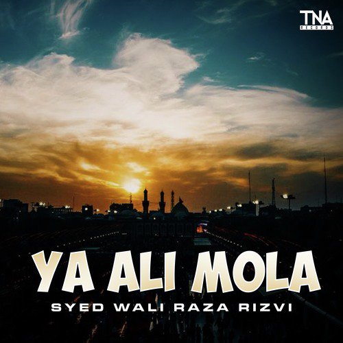 Ya Ali Mola by Syed Wali Raza Rizvi - Download on PagalFree