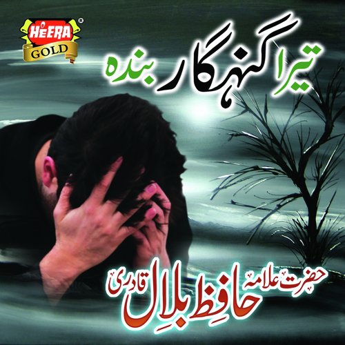 Tera Gunehgar Banda by Syed Shahid Qadri - Download on PagalFree