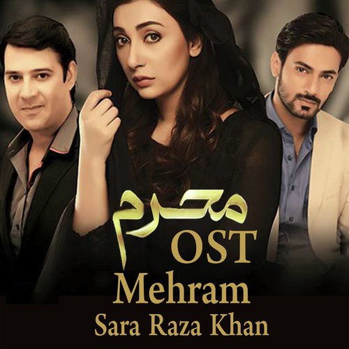 Na Mehram Humsafar by Najam Sheraz - Download on PagalFree