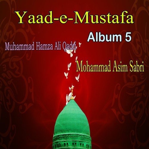 Jisay Dekhni Ho Jannat by Mohammad Asim Sabri, Muhammad Hamza Ali Qadri - Download on PagalFree
