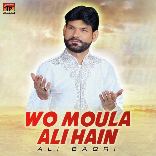 Wo Moula Ali Hain by Ali Baqri - Download on PagalFree