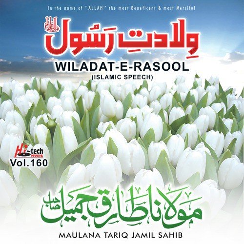 Wiladat-e-Rasool (Pt.2) by Maulana Tariq Jamil Sahib - Download on PagalFree