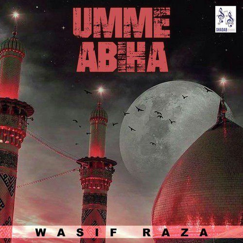 Umme Abiha by Wasif Raza - Download on PagalFree