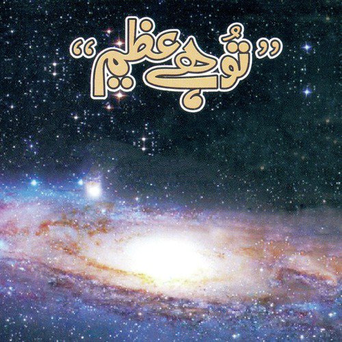 Dil Ke Dagh Ko by Various Artists - Download on PagalFree