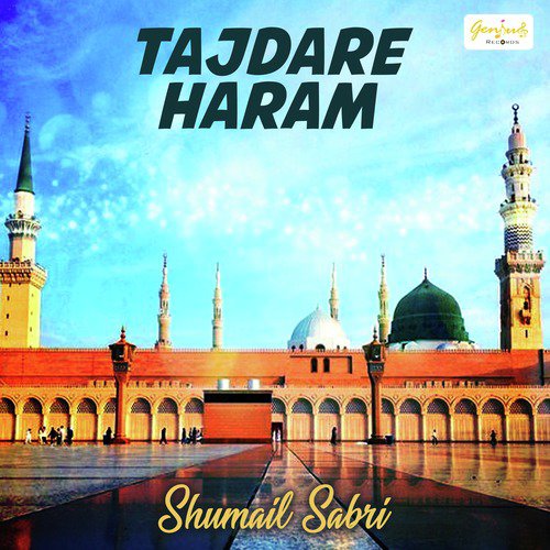 Ya Muhammad Noor by Shumail Sabri - Download on PagalFree