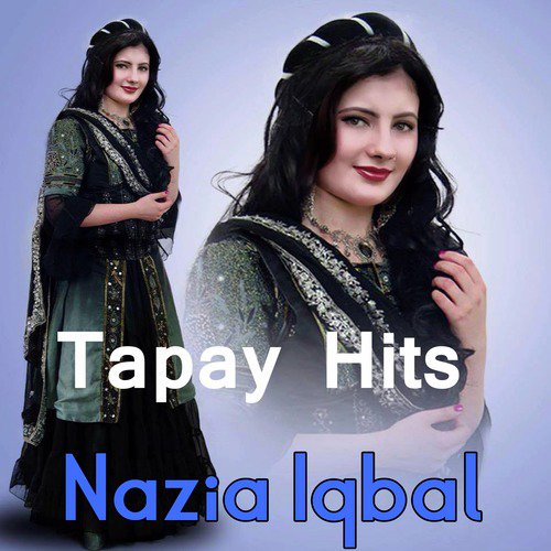 Da Zan Pa Pata Na Pohegam by Nazia Iqbal - Download on PagalFree