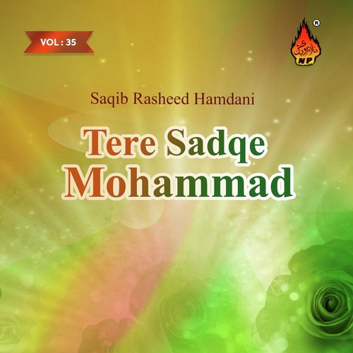 Din Na Mahine Te by Saqib Rasheed Hamdani - Download on PagalFree