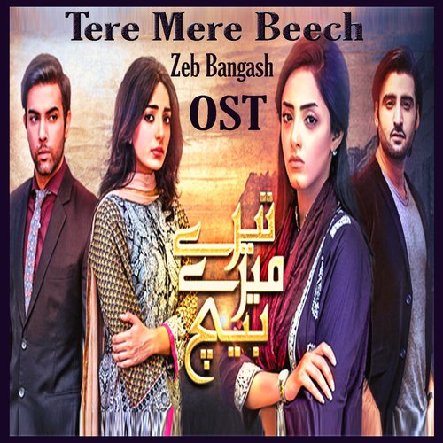 Tere Mere Beech by Zebunnisa Bangash - Download on PagalFree