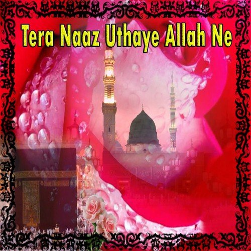 Teri Hi Zaat Hai by Various Artists - Download on PagalFree