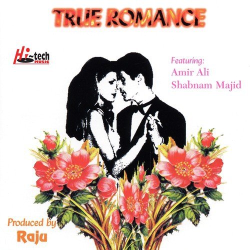 Jaanu I Love You (Original Mix) by Shabnam Majid, Ameer Ali - Download on PagalFree