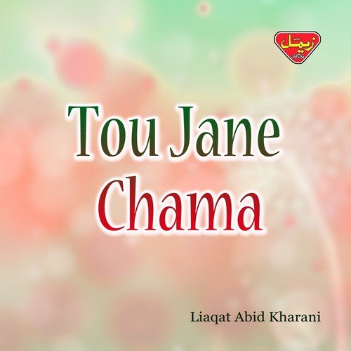 Digan Chist Bichar by Liaqat Abid Kharani - Download on PagalFree