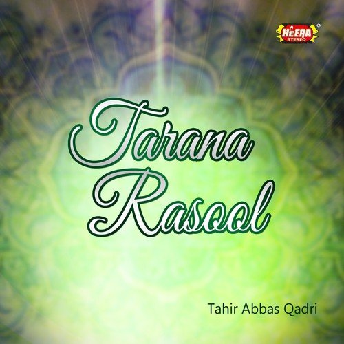 Sarkar Ke Geiso by Tahir Abbas Qadri - Download on PagalFree