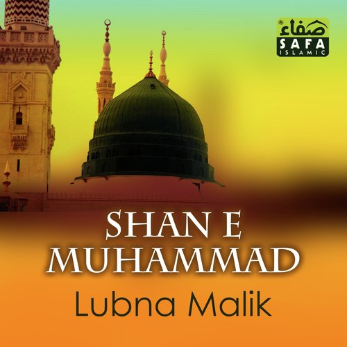 Jin Ka Saya Hai by Lubna Malik - Download on PagalFree
