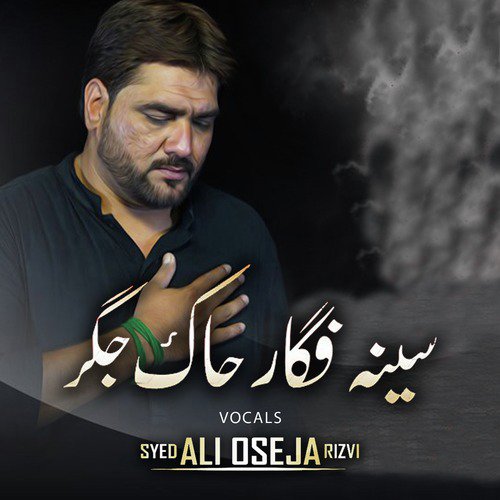 Seena Fagar Chaak Jigar by Syed Ali Oseja Rizvi - Download on PagalFree
