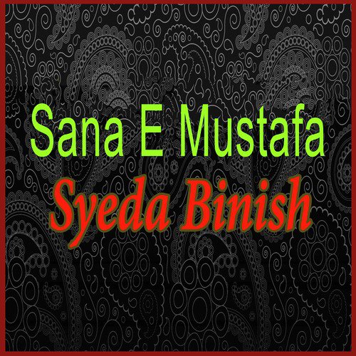 Wah Musibata by Syeda Binish - Download on PagalFree