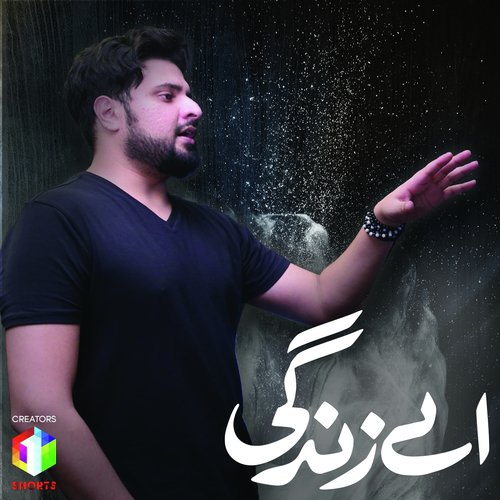 Aey Zindagi by Naveed Nashad, Bina Khan - Download on PagalFree