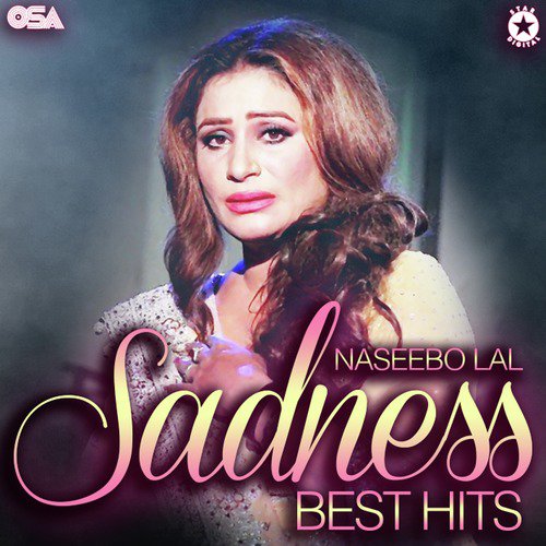 Pehle Toh Kabhi Kabhi Gham Tha by Naseebo Lal - Download on PagalFree
