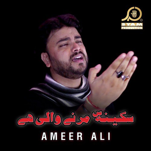 Kon Hai Ali Jaisa by Ameer Ali - Download on PagalFree