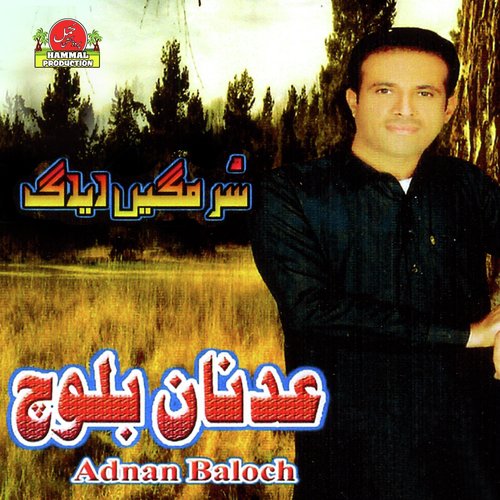 Tu Seep Pari by Adnan Baloch - Download on PagalFree